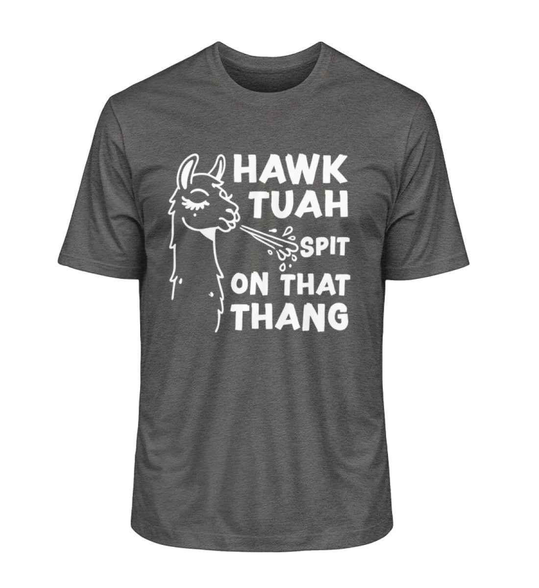 Hawk Tuah Spit On That Thang Unisex Bio T-Shirt in der Farbe grau Dark Heather Grey