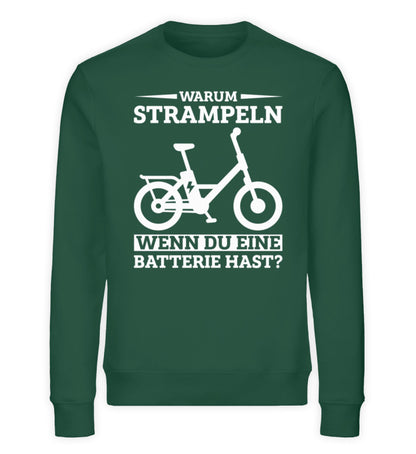 Bottle Green-6891